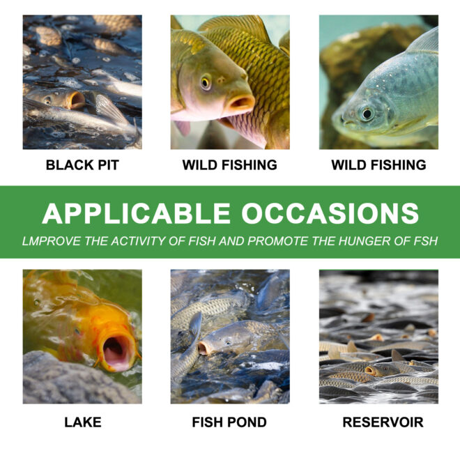 Wild Fishing Bait Attractant  outdoor Fishing fishing Additives For Fast Hook-ups - Image 3