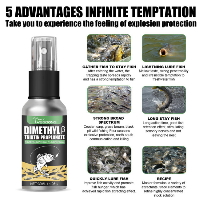Wild Fishing Bait Attractant  outdoor Fishing fishing Additives For Fast Hook-ups - Image 6