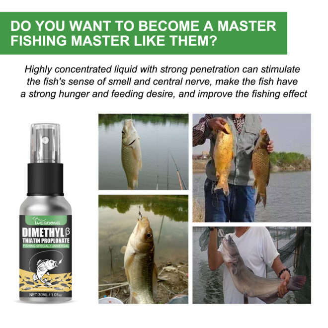 Wild Fishing Bait Attractant  outdoor Fishing fishing Additives For Fast Hook-ups - Image 7