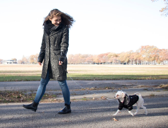 Metallic Fashion Pet Parka Coat - Image 30