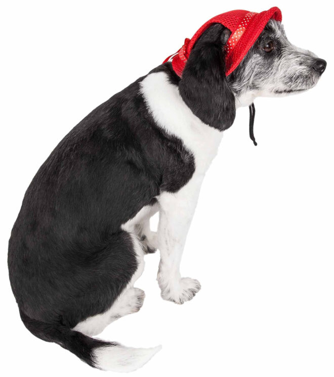 Pet Life 'Sea Spot Sun' Uv Protectant Adjustable Fashion Mesh Brimmed Dog Hat Cap - Image 8