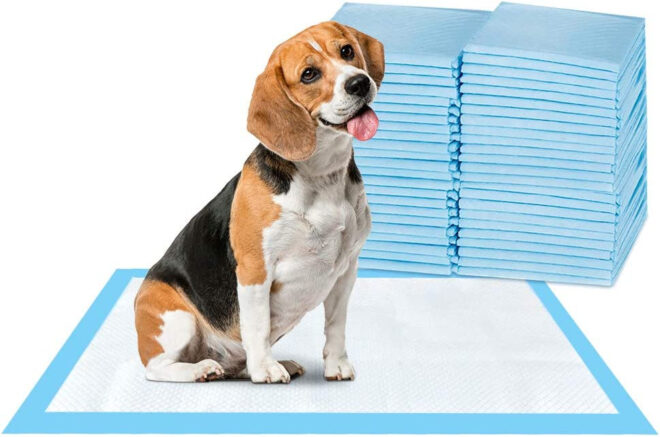 ScratchMe Super-Absorbent Waterproof Dog and Puppy Pet Training Pad