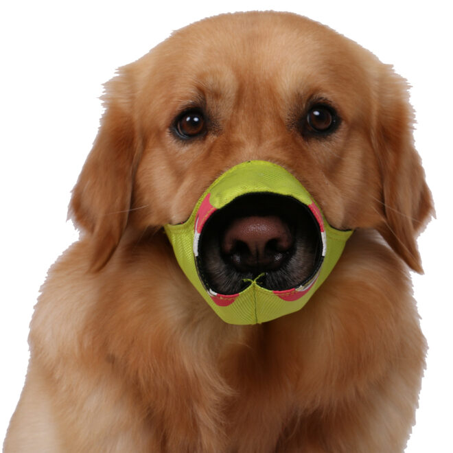 Pet Life Fumigation Adjustable Designer Dog Muzzle - Image 12