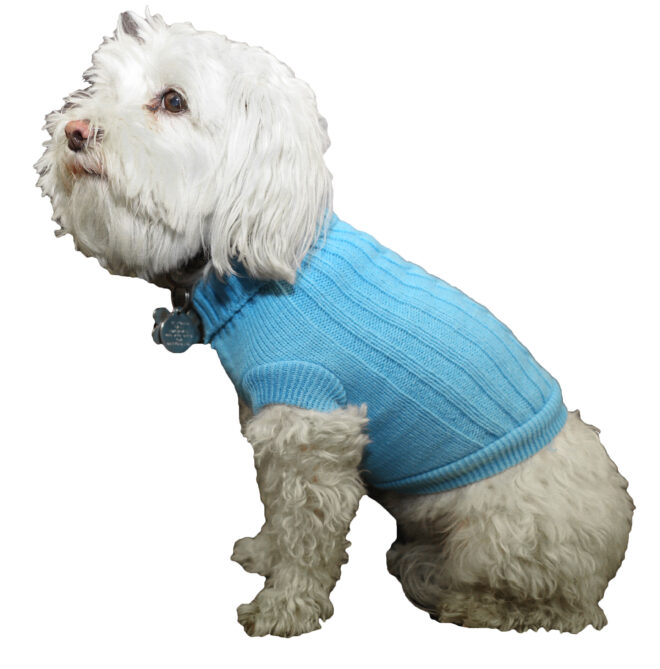Heavy Cotton Rib-Collared Pet Sweater - Image 3