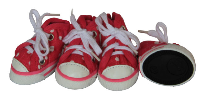Extreme-Skater Canvas Casual Grip Pet Sneaker Shoes - Set Of 4 - Image 9