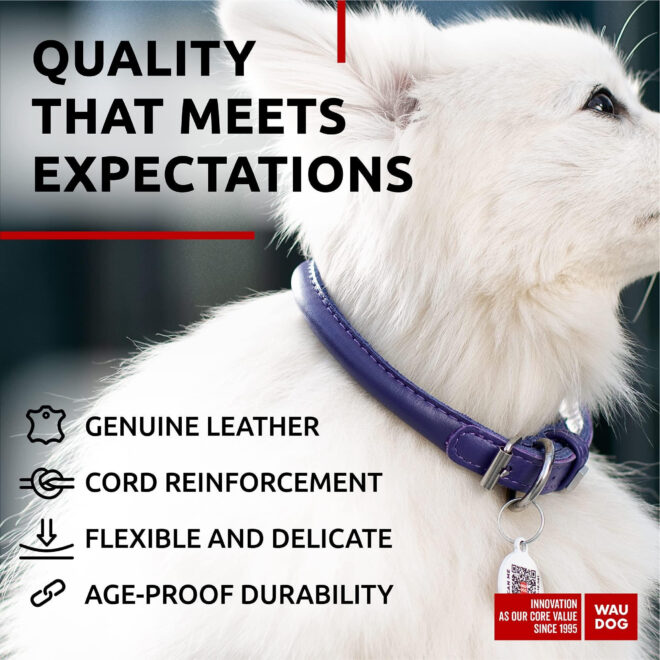 Purple Ultra Soft Rolled Leather Dog Collar for Small Dogs 10-13 inch Neck Soft Padded Dog Collars - Image 4