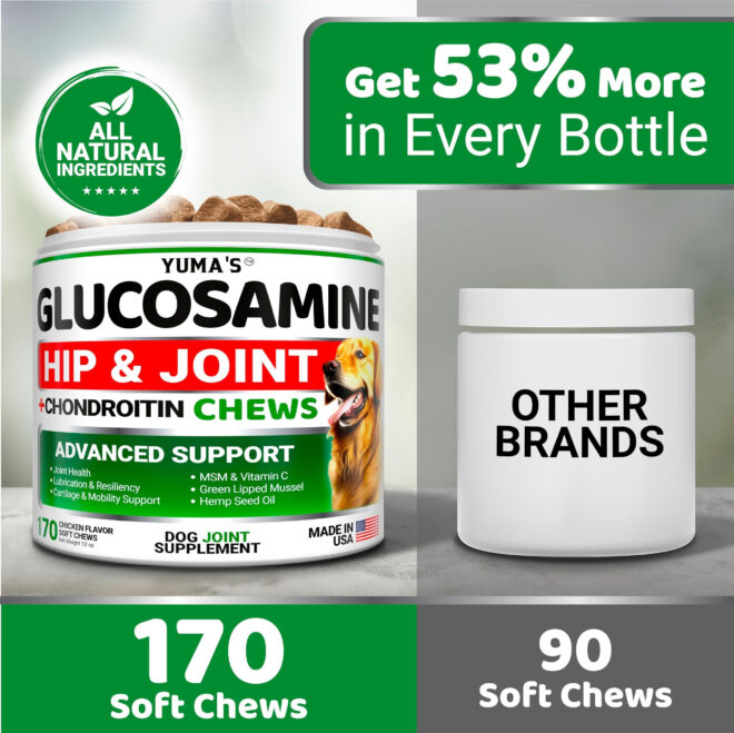 Glucosamine for Dogs Hip and Joint Supplement for Dogs 170 Ct Glucosamine Chondroitin for Dogs Chews Dog Joint Pain Relief with MSM Advanced Dog Joint Supplement Health - Image 5