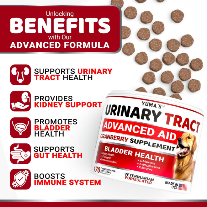 Dog UTI Treatment 170 Treats Cranberry Supplement for Dogs Bladder Control for Dogs - Image 2