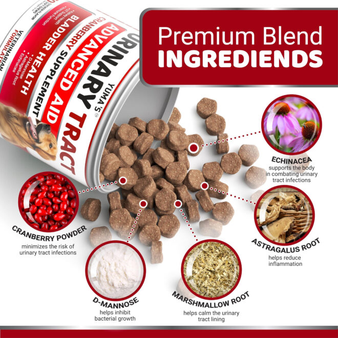 Dog UTI Treatment 170 Treats Cranberry Supplement for Dogs Bladder Control for Dogs - Image 3