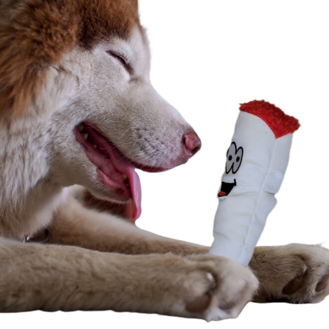 My Name is Jay, Cute Stuffed Parody Joint Dog Toy, Funny Squeaky Weed Toy, Cool Plush Novelty 420 Gift for Pets & Their Owners, Sized for Puppies & Small, Medium & Large Breeds, Fetch & a Photo Prop - Image 8