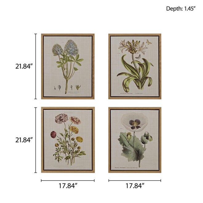 4-piece Botanical Illustration Framed Canvas Wall Art Set - Image 2
