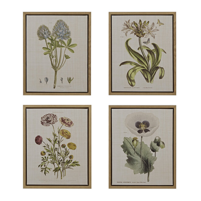 4-piece Botanical Illustration Framed Canvas Wall Art Set - Image 12