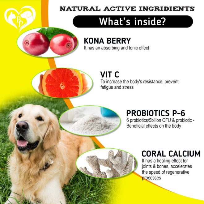 Dog Allergy Relief Treatment 140 Bites - Image 4