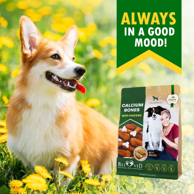 Dog Calcium Bones Wrapped Chicken & Rawhide Free Chew Treats Pet Healthy Dried Snacks Grain Free Organic Meat Chews for Training Small Large Dogs - Image 7
