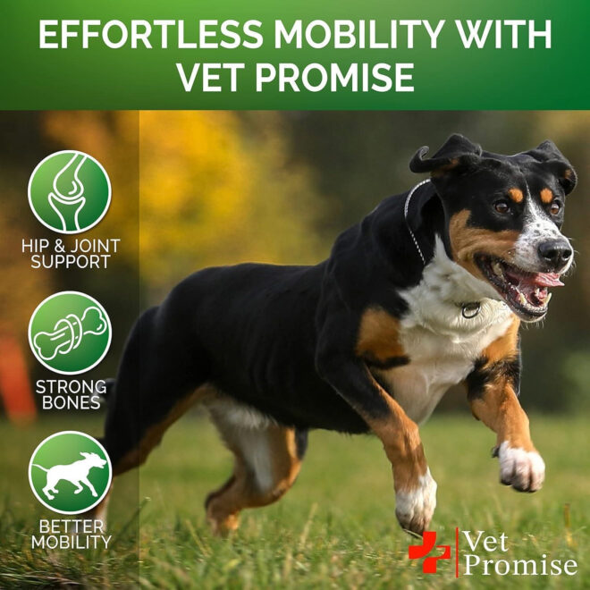 Glucosamine for Dogs 2 Pack Hip and Joint Supplement with Chondroitin 240 Chews - Image 4
