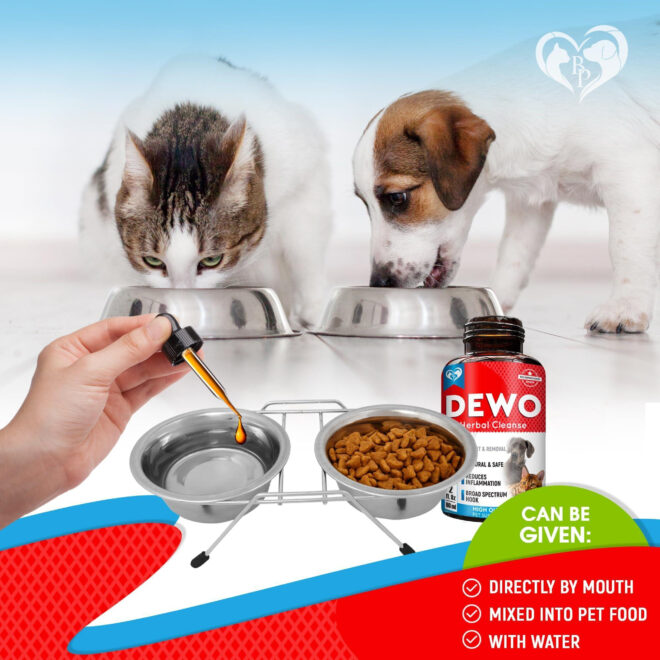 Cats and Dogs Liquid Herbal Medicine and Natural Broad Spectrum Treatment for Tapeworm Whipworm Roundworm and Hookworm Prevention Medication Supplement Drops for Kitten and Puppies - Image 4