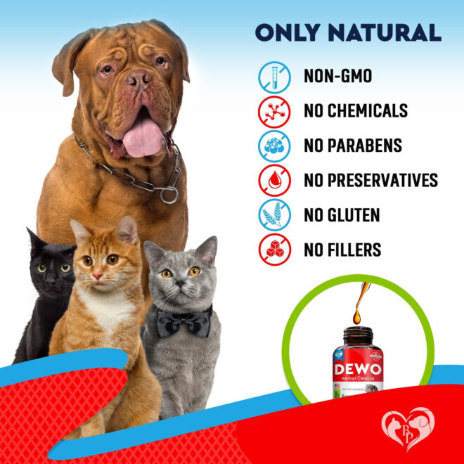 Cats and Dogs Liquid Herbal Medicine and Natural Broad Spectrum Treatment for Tapeworm Whipworm Roundworm and Hookworm Prevention Medication Supplement Drops for Kitten and Puppies - Image 6