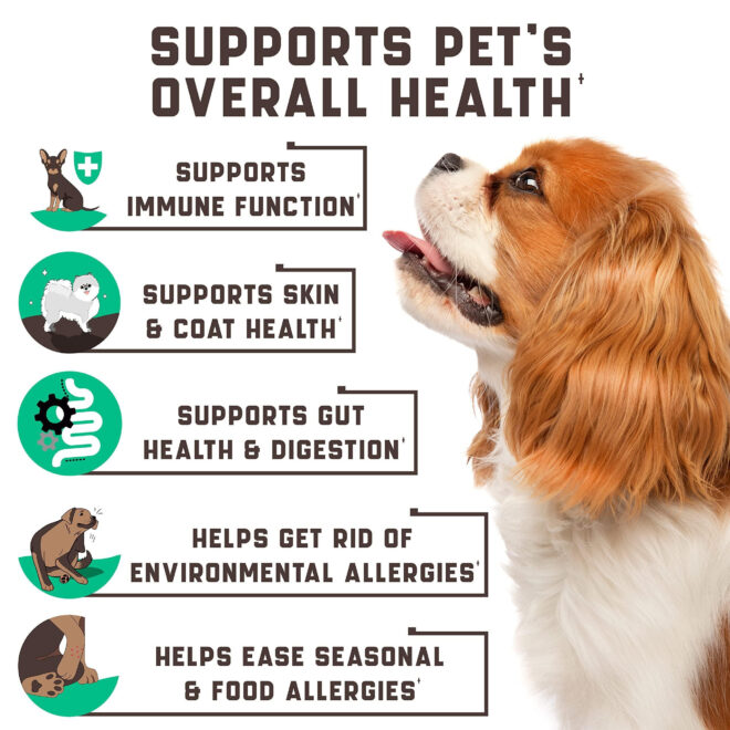 Natural Dog Allergy Chews with Omega Probiotics Apple Cider Vinegar Dog Allergy Relief Supplement Helps with Hot Spots Itchy Skin Seasonal and Food Dog Allergies 180 Allergy Chews for Dogs - Image 2