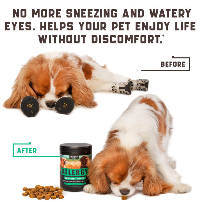 Natural Dog Allergy Chews with Omega Probiotics Apple Cider Vinegar Dog Allergy Relief Supplement Helps with Hot Spots Itchy Skin Seasonal and Food Dog Allergies 180 Allergy Chews for Dogs - Image 6