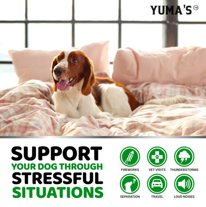 Hemp Calming Chews for Dogs Advanced Dog Calming Treats 170 Chews Anxiety Relief Separation Aid Barking Stress Relief Thunderstorms Melatonin Hemp Oil - Image 4