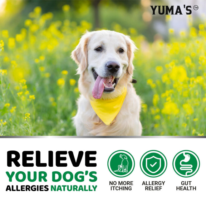 Dog Allergy Relief Chews Dog Itching Skin Relief Treatment Pills 170 Treats Anti Itch for Dogs - Image 4