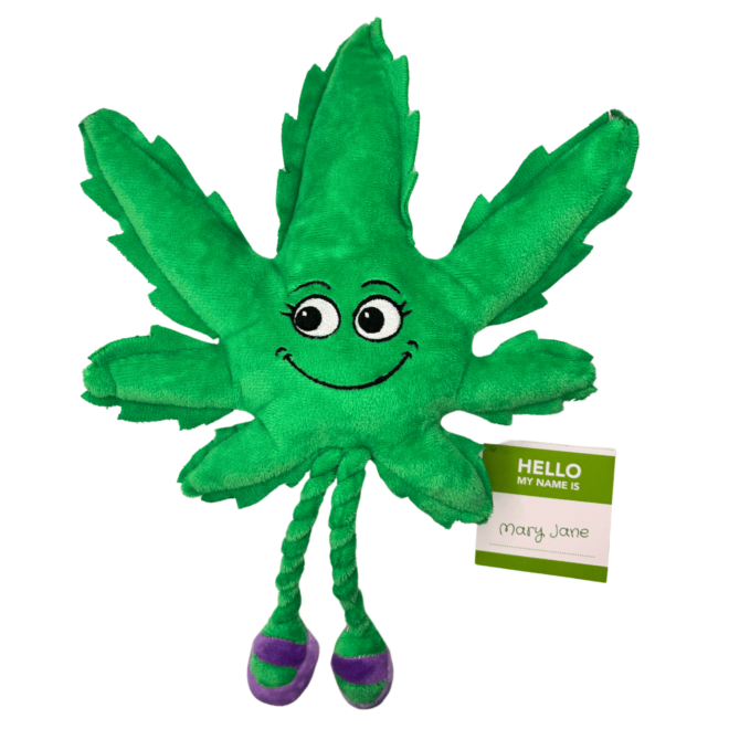 My Name is Mary Jane, Cute Stuffed Parody Marijuana Leaf Dog Toy, Funny Squeaky Weed Toy, Cool Plush Novelty 420 Gift for Puppies & Small, Medium & Large Breeds, For Fetch & a Photo Prop, Shelf-Sitter - Image 2