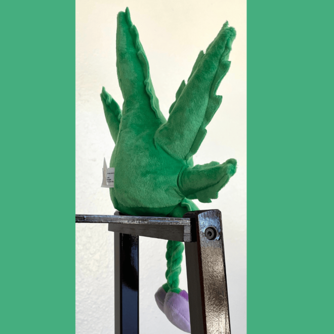 My Name is Mary Jane, Cute Stuffed Parody Marijuana Leaf Dog Toy, Funny Squeaky Weed Toy, Cool Plush Novelty 420 Gift for Puppies & Small, Medium & Large Breeds, For Fetch & a Photo Prop, Shelf-Sitter - Image 11