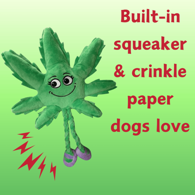 My Name is Mary Jane, Cute Stuffed Parody Marijuana Leaf Dog Toy, Funny Squeaky Weed Toy, Cool Plush Novelty 420 Gift for Puppies & Small, Medium & Large Breeds, For Fetch & a Photo Prop, Shelf-Sitter - Image 4
