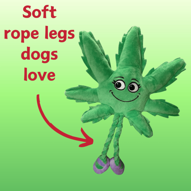 My Name is Mary Jane, Cute Stuffed Parody Marijuana Leaf Dog Toy, Funny Squeaky Weed Toy, Cool Plush Novelty 420 Gift for Puppies & Small, Medium & Large Breeds, For Fetch & a Photo Prop, Shelf-Sitter - Image 5
