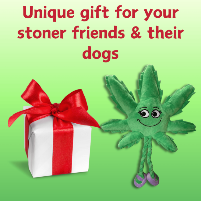 My Name is Mary Jane, Cute Stuffed Parody Marijuana Leaf Dog Toy, Funny Squeaky Weed Toy, Cool Plush Novelty 420 Gift for Puppies & Small, Medium & Large Breeds, For Fetch & a Photo Prop, Shelf-Sitter - Image 6
