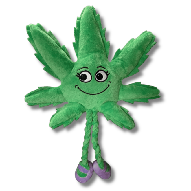 My Name is Mary Jane, Cute Stuffed Parody Marijuana Leaf Dog Toy, Funny Squeaky Weed Toy, Cool Plush Novelty 420 Gift for Puppies & Small, Medium & Large Breeds, For Fetch & a Photo Prop, Shelf-Sitter