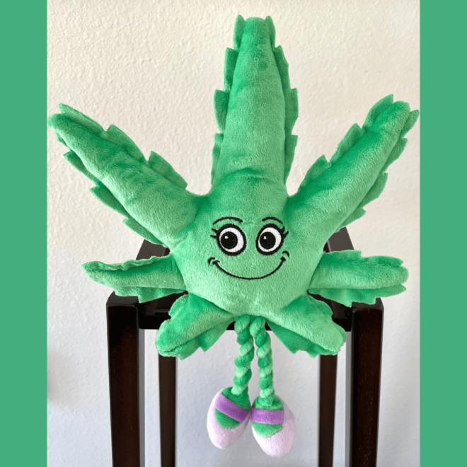 My Name is Mary Jane, Cute Stuffed Parody Marijuana Leaf Dog Toy, Funny Squeaky Weed Toy, Cool Plush Novelty 420 Gift for Puppies & Small, Medium & Large Breeds, For Fetch & a Photo Prop, Shelf-Sitter - Image 9