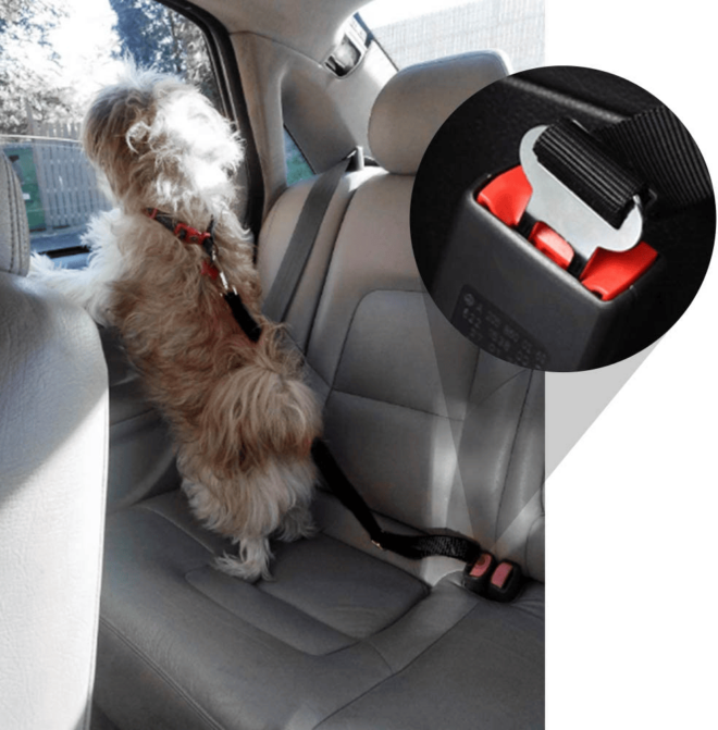 2pcs Pet Dog Cat Car Seat Belt Safety Leash Vehicle Seatbelt Harness - Image 18