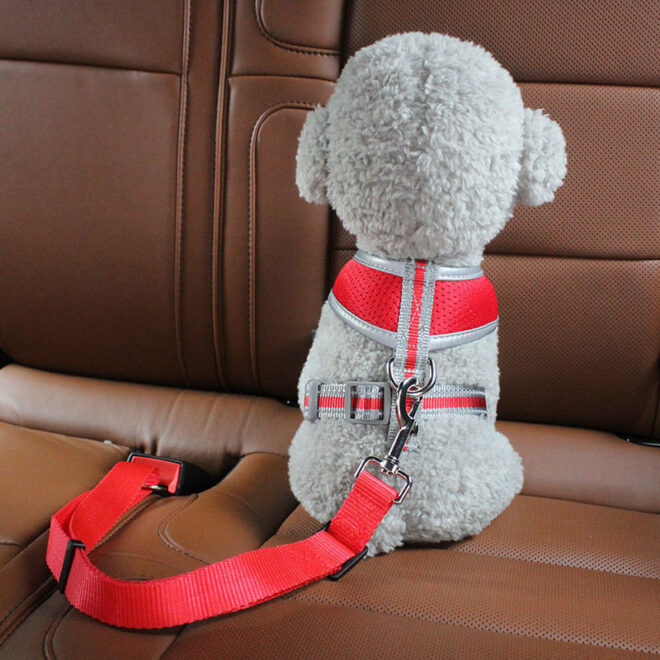 2pcs Pet Dog Cat Car Seat Belt Safety Leash Vehicle Seatbelt Harness - Image 10