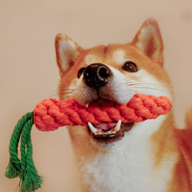 Dog Rope Toys For Grinding And Cleaning Teeth - Image 7