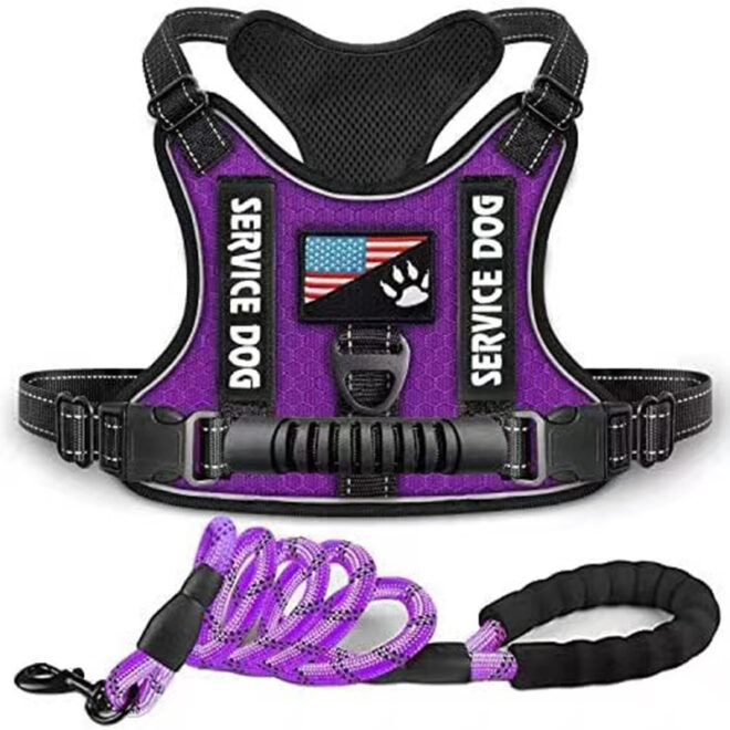 Pet Harness And Leash Set For Dog & Cat; Adjustable No Pull Service Dog Vest Harness For Walking - Image 188