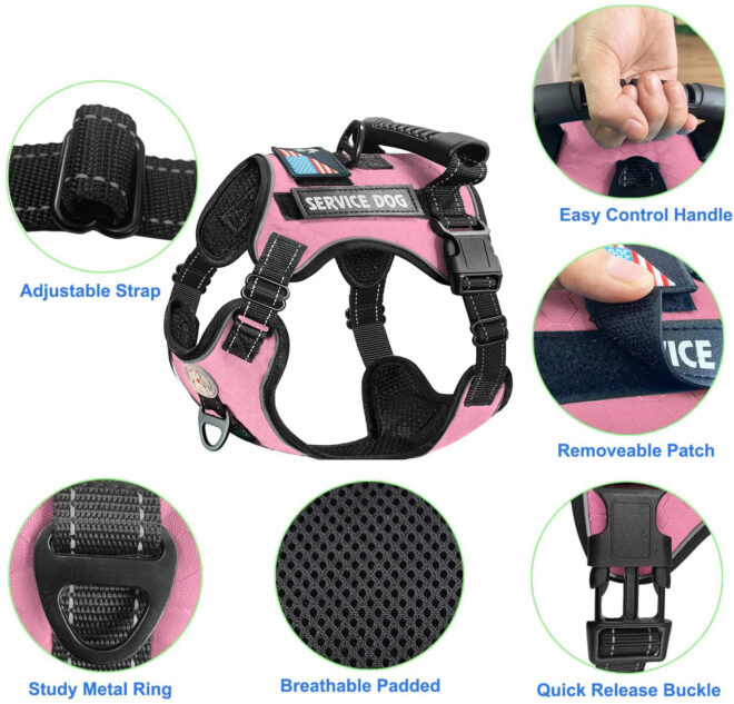 Pet Harness And Leash Set For Dog & Cat; Adjustable No Pull Service Dog Vest Harness For Walking - Image 145