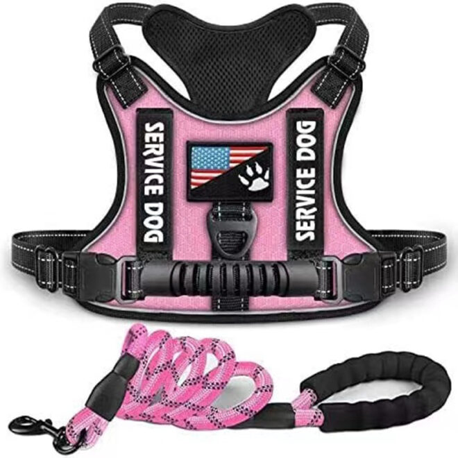 Pet Harness And Leash Set For Dog & Cat; Adjustable No Pull Service Dog Vest Harness For Walking - Image 146