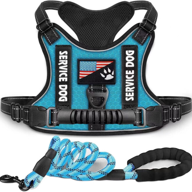 Pet Harness And Leash Set For Dog & Cat; Adjustable No Pull Service Dog Vest Harness For Walking - Image 148