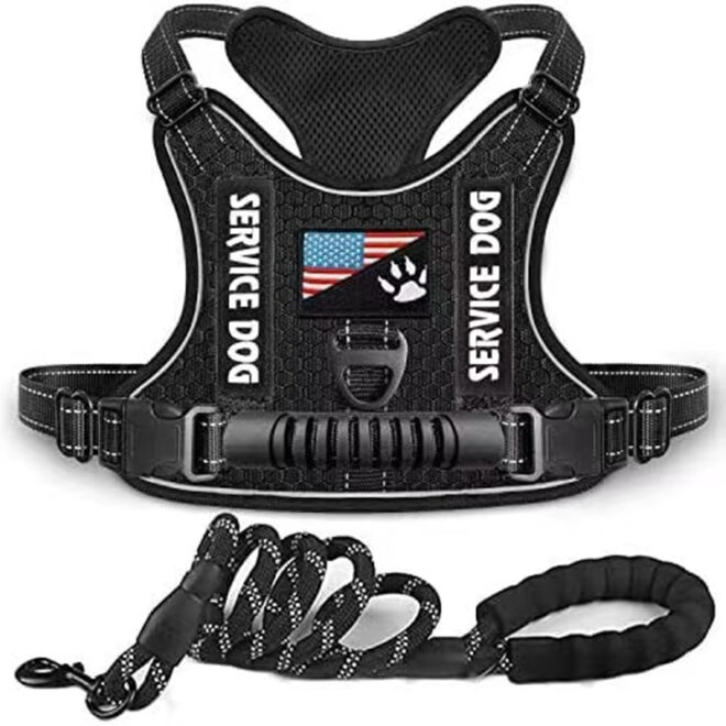 Pet Harness And Leash Set For Dog & Cat; Adjustable No Pull Service Dog Vest Harness For Walking - Image 150