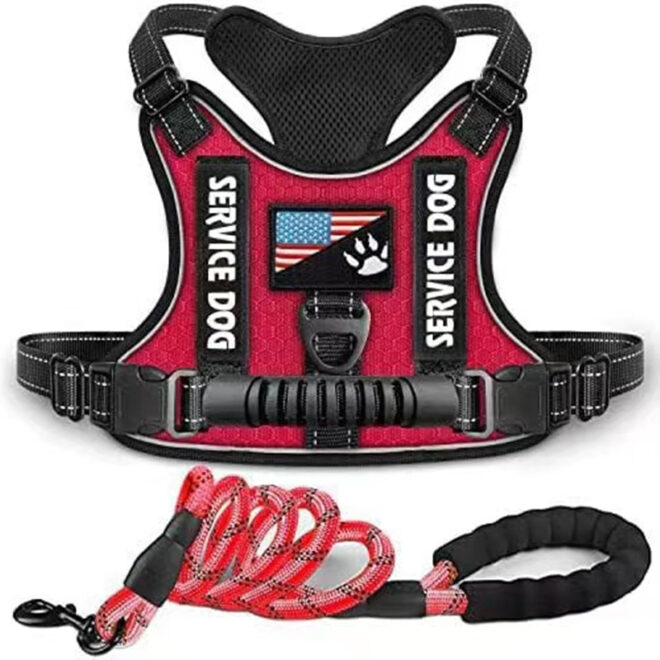 Pet Harness And Leash Set For Dog & Cat; Adjustable No Pull Service Dog Vest Harness For Walking - Image 111