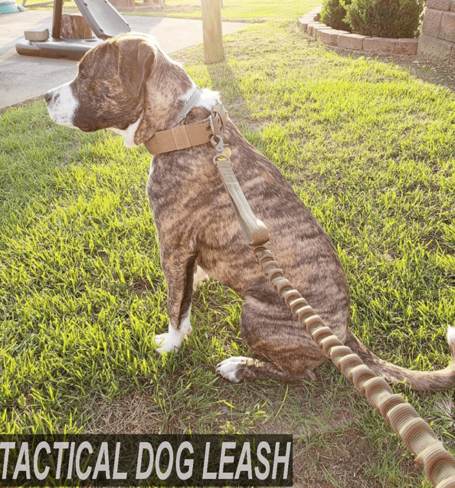 k9 leash; Bungee Dog Leash Tactical Dog Leash Nylon Adjustable Tactical Leash for Dogs Quick Release Military Dog Leash with 2 Control Handle; Bungee trap - Image 25