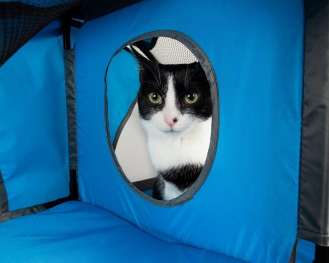 Pet Life Kitty-Play Obstacle Travel Collapsible Soft Folding Pet Cat House - Image 20