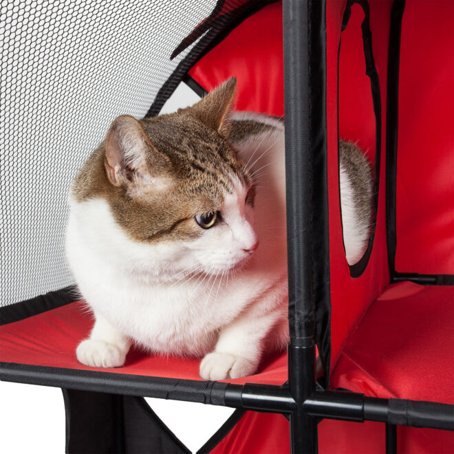 Pet Life Kitty-Play Obstacle Travel Collapsible Soft Folding Pet Cat House - Image 3