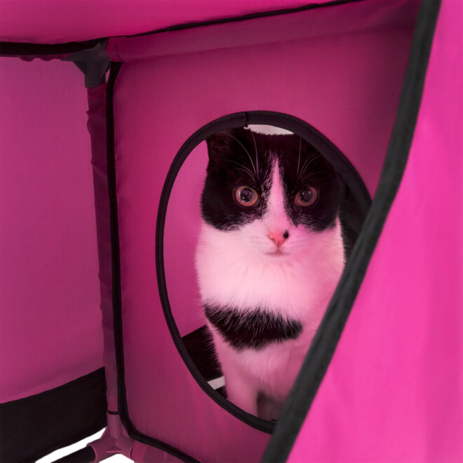 Pet Life Kitty-Play Obstacle Travel Collapsible Soft Folding Pet Cat House - Image 9