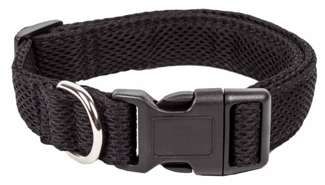 Pet Life 'Aero Mesh' 360 Degree Dual Sided Comfortable And Breathable Adjustable Mesh Dog Collar - Image 42