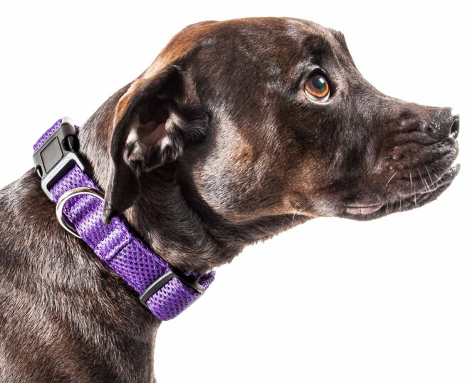 Pet Life 'Aero Mesh' 360 Degree Dual Sided Comfortable And Breathable Adjustable Mesh Dog Collar - Image 76
