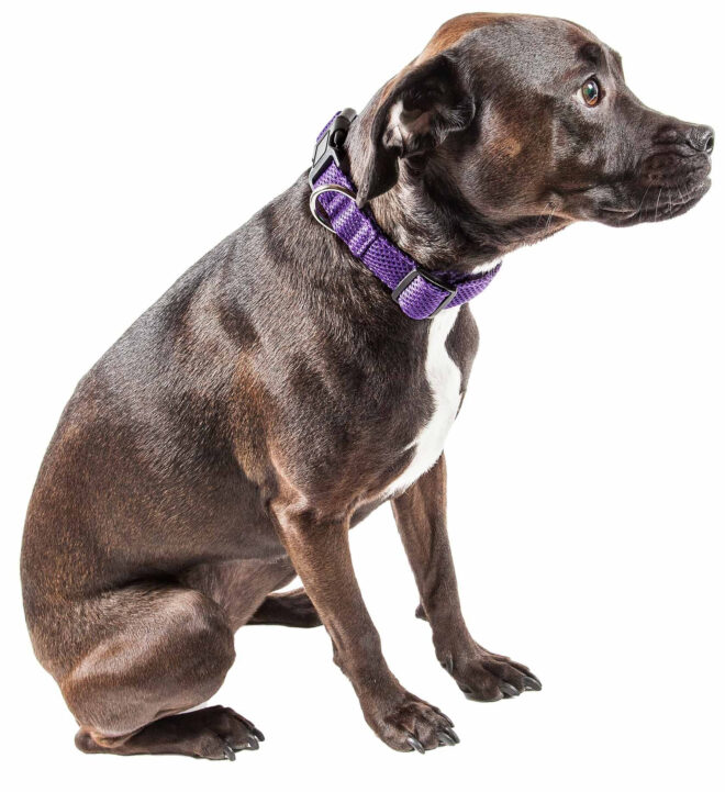 Pet Life 'Aero Mesh' 360 Degree Dual Sided Comfortable And Breathable Adjustable Mesh Dog Collar - Image 78