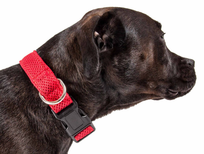Pet Life 'Aero Mesh' 360 Degree Dual Sided Comfortable And Breathable Adjustable Mesh Dog Collar - Image 32