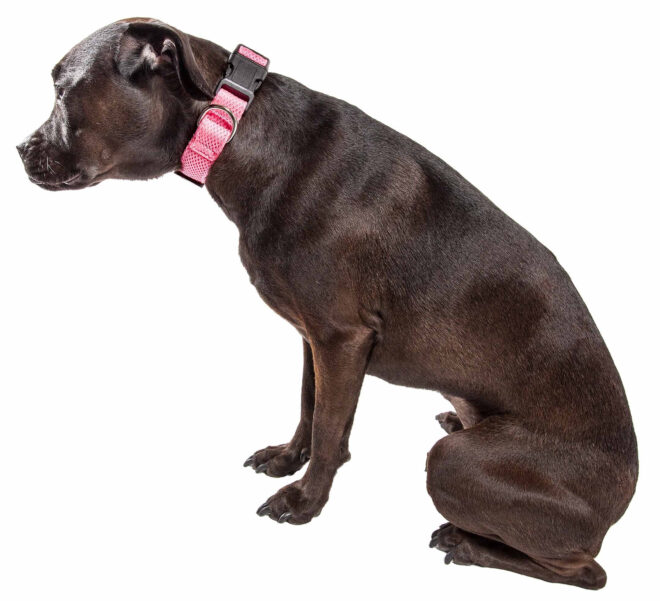 Pet Life 'Aero Mesh' 360 Degree Dual Sided Comfortable And Breathable Adjustable Mesh Dog Collar - Image 28